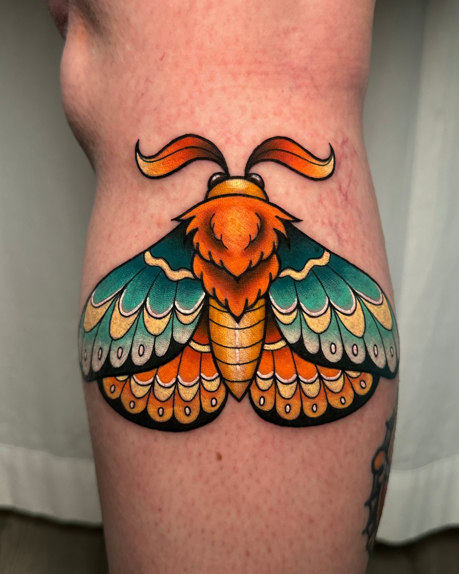 Blue Bird Tattoo Studio | Hanover PA