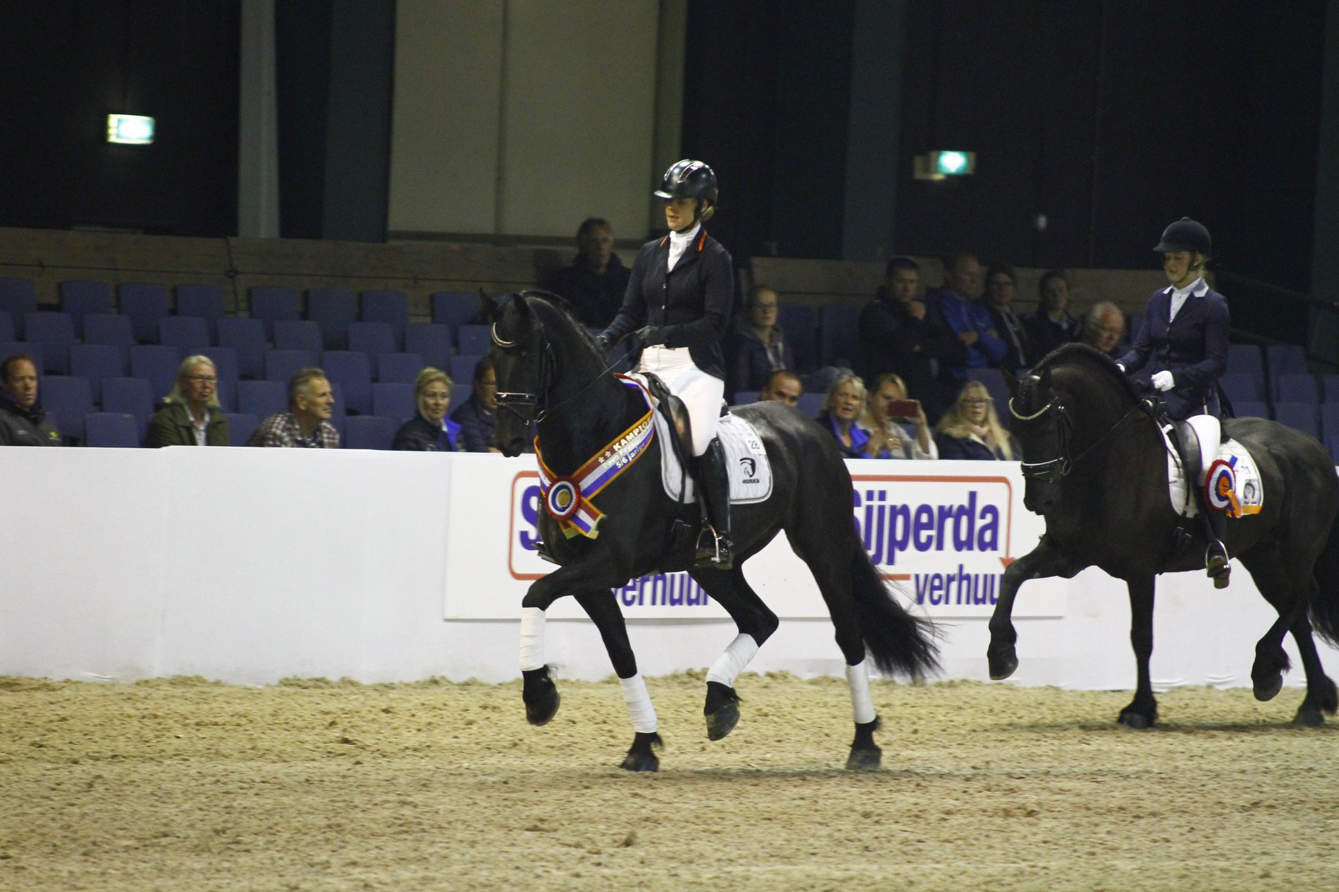 トップス hir Champion of PAVO FRYSO 5- and 6 year old mares: Setske fan
