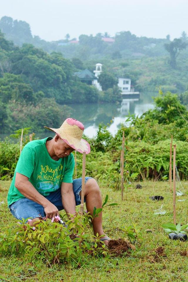 CSC-PGL Tree Growing & Caring... - Gov. Ramil L. Hernandez