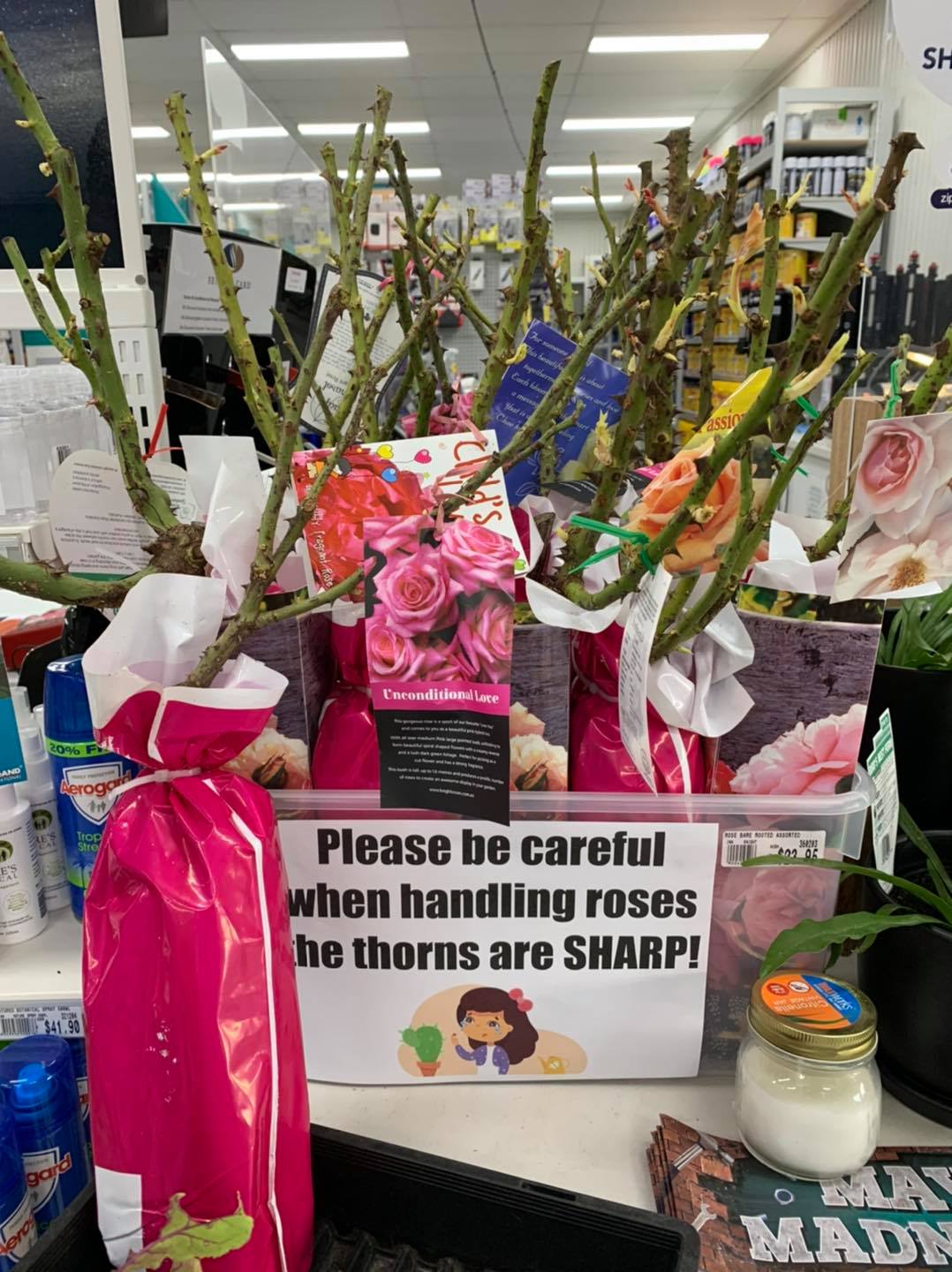 Our bare rooted roses are... - Rohr's Home Timber & Hardware | Facebook
