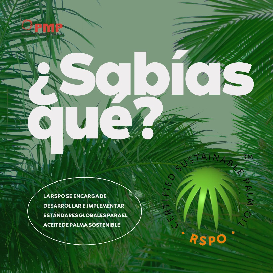 pmp.sa - La RSPO ha desarrollado un conjunto de criterios...