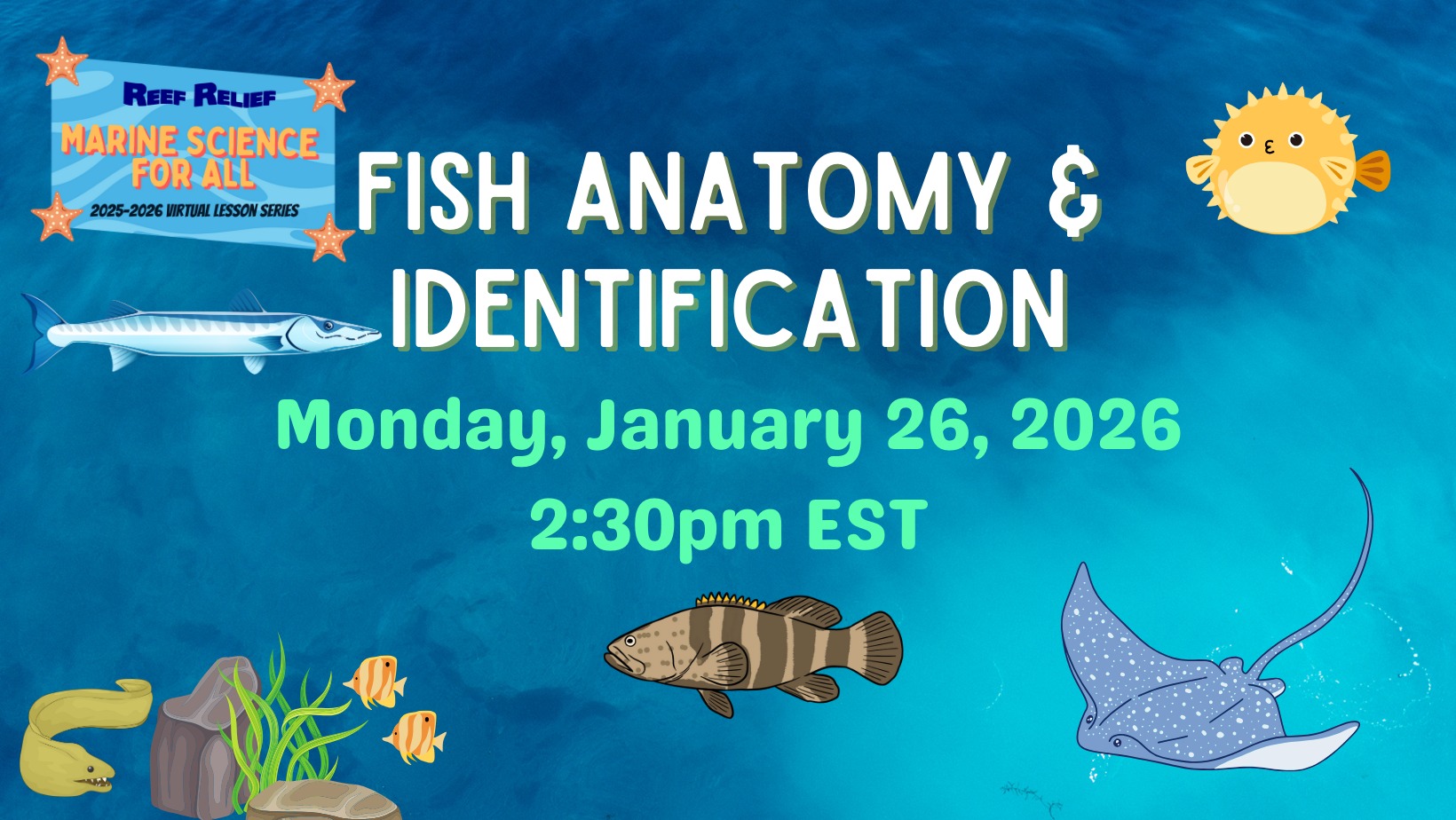 Virtual Lesson: Fish Anatomy and Identification (Afternoon)