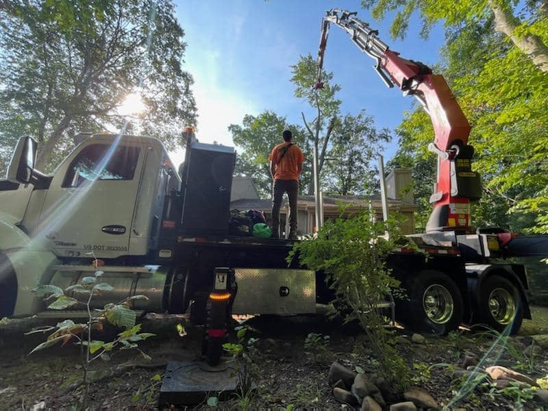 Spinells tree service | Wallingford CT