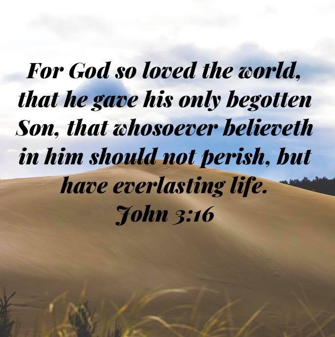 Bible Text Ministries