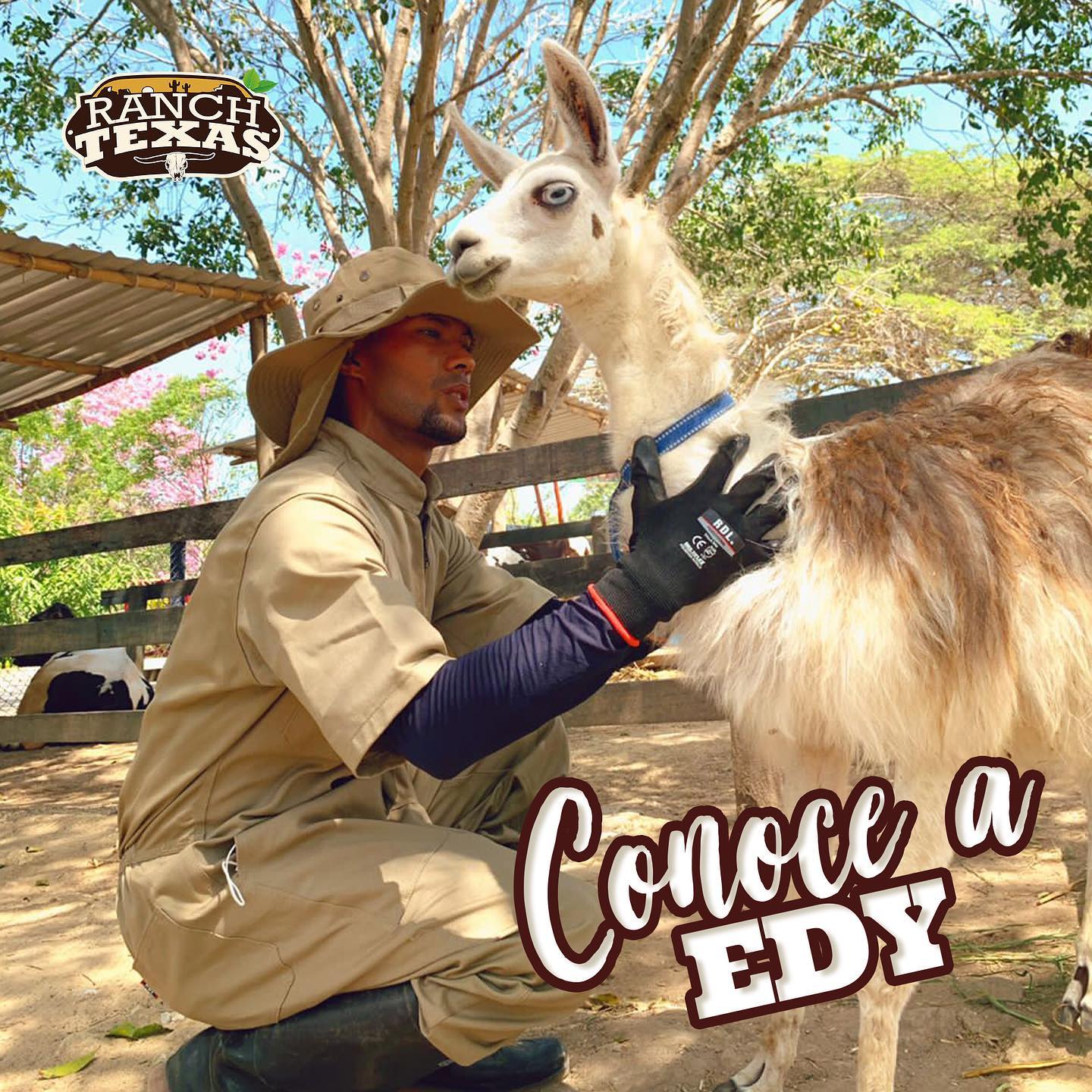 Ranch Texas - 🧑🏾‍🌾Conoce a Edy, el granjero que hace parte... | Facebook