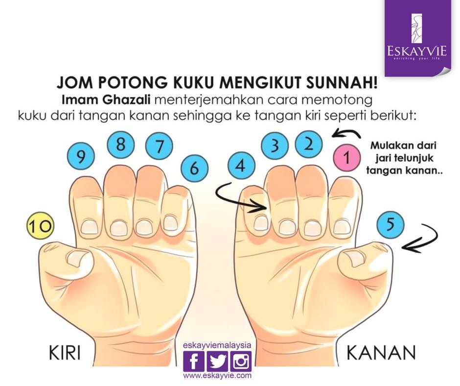 Vitamincshaklee Salam Jumaat Antara Amalan Sunat Pada Hari Jumaat Adalah Memotong Kuku Lagi Afdhal Sekiranya Memotong Kuku Mengikut Sunnah Nabi الل ه م ص ل ع ل ى م ح م د و ع ل ى آل م ح م د Facebook