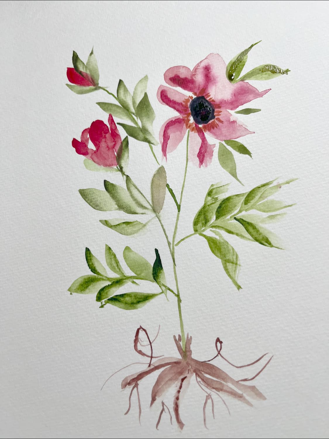 E Jill Riley Art | Billings MT