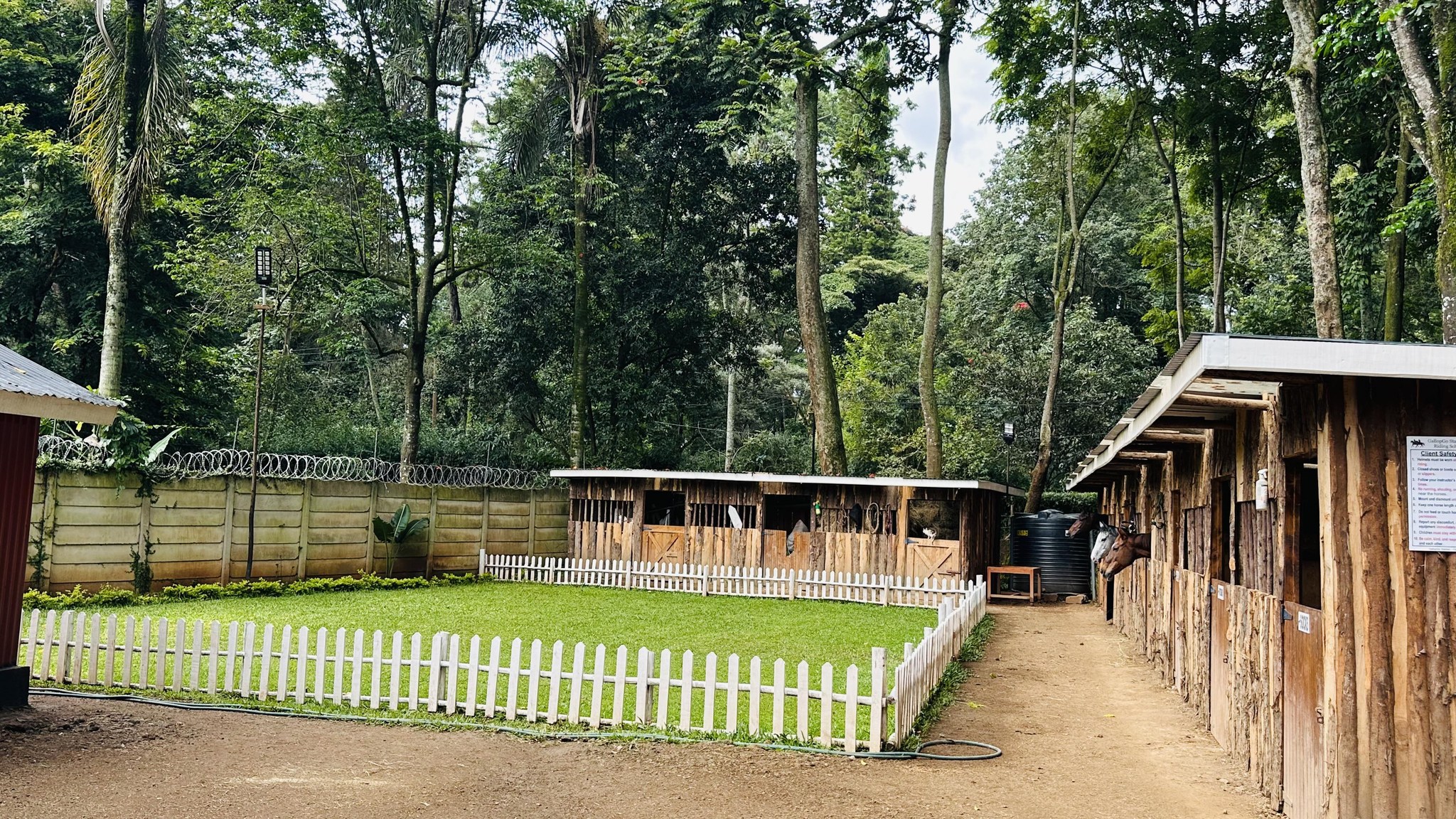GallopGo Stables