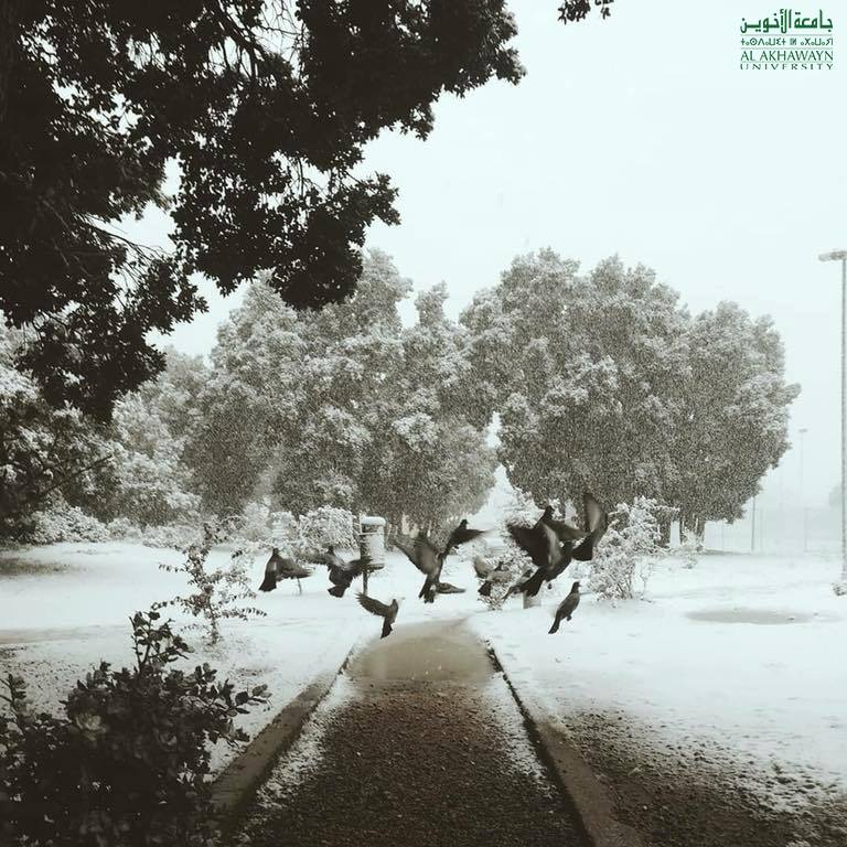 Ifrane first snow... - Al Akhawayn University Alumni Office