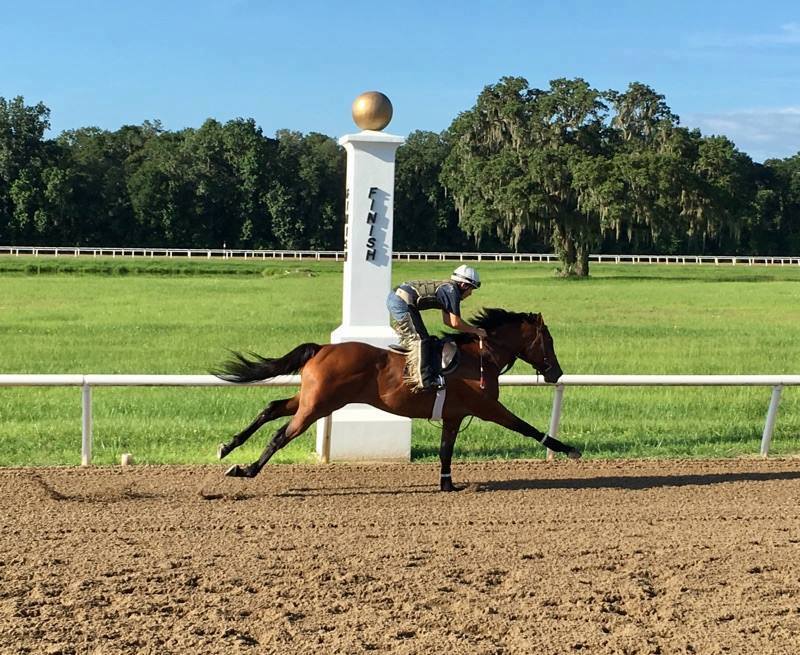 Victory Racing Partners are... - Victory Racing Partners