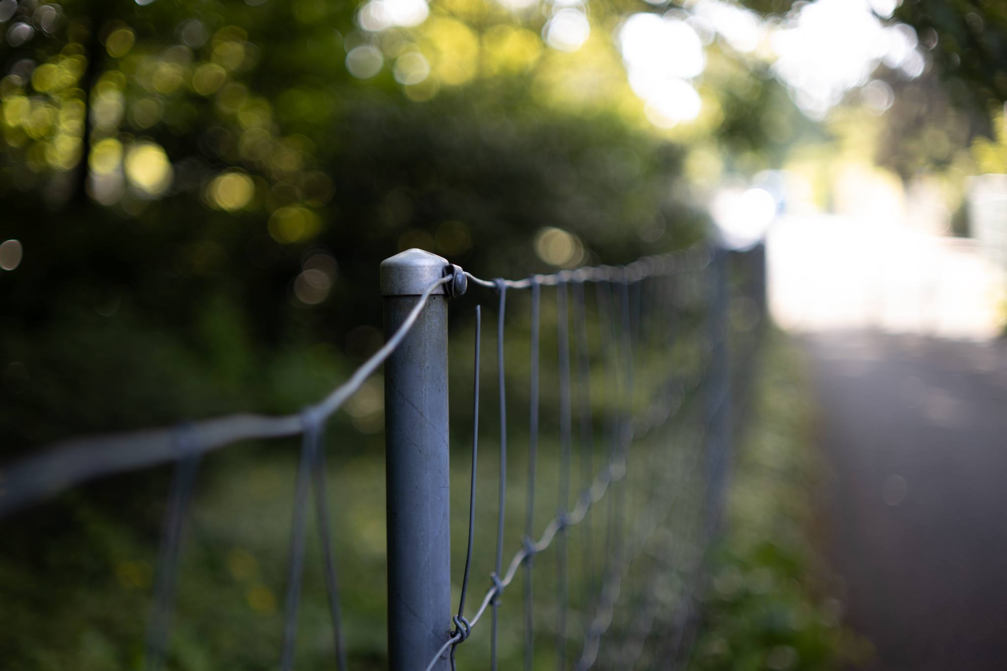 Lomo Volna 50mm f1.8 lens review