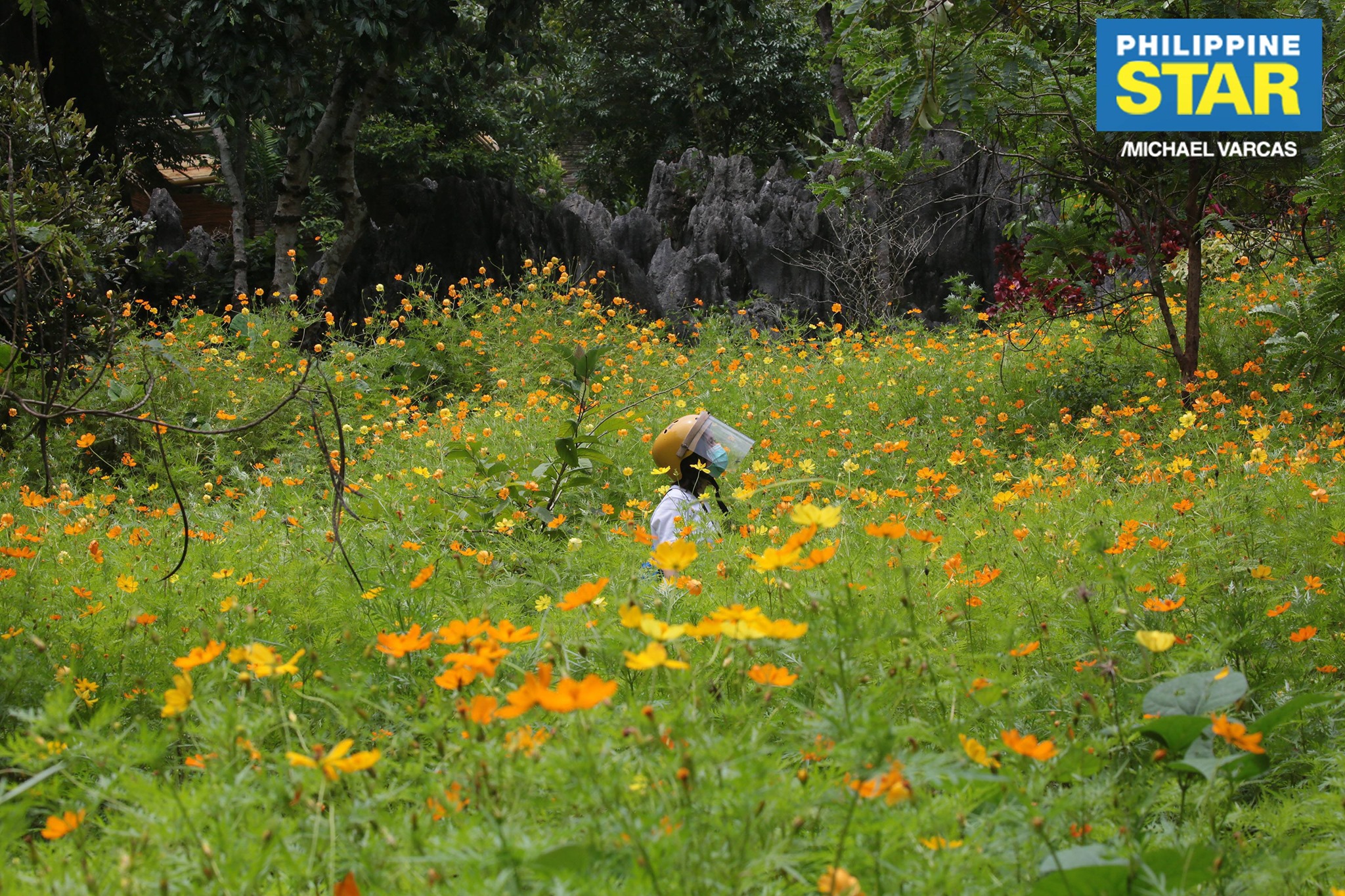 Philippine Star - Park rangers conduct maintenance work at...