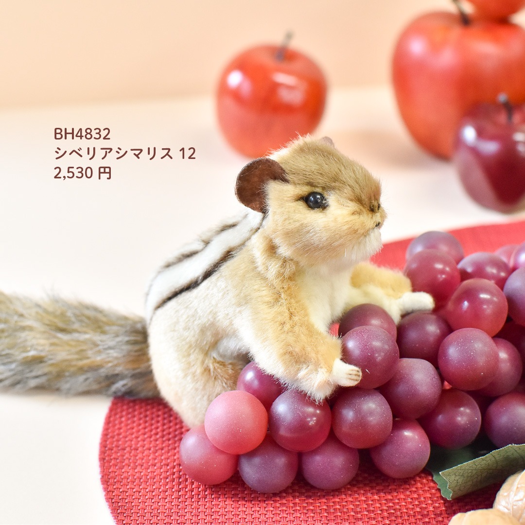 Hansa（ハンサ）日本総代理店 added a new photo. - Hansa（ハンサ