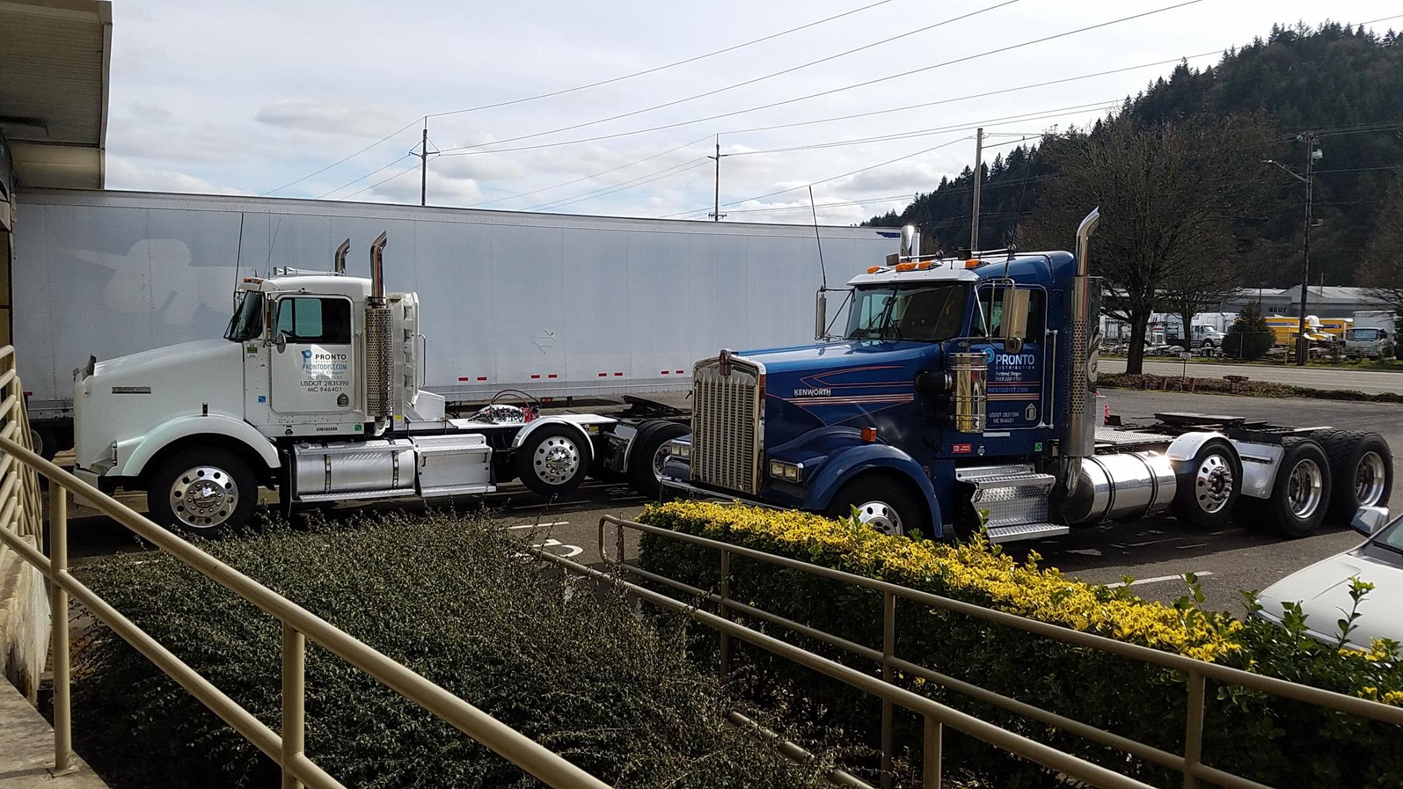 Pronto Distribution Inc. | Portland OR