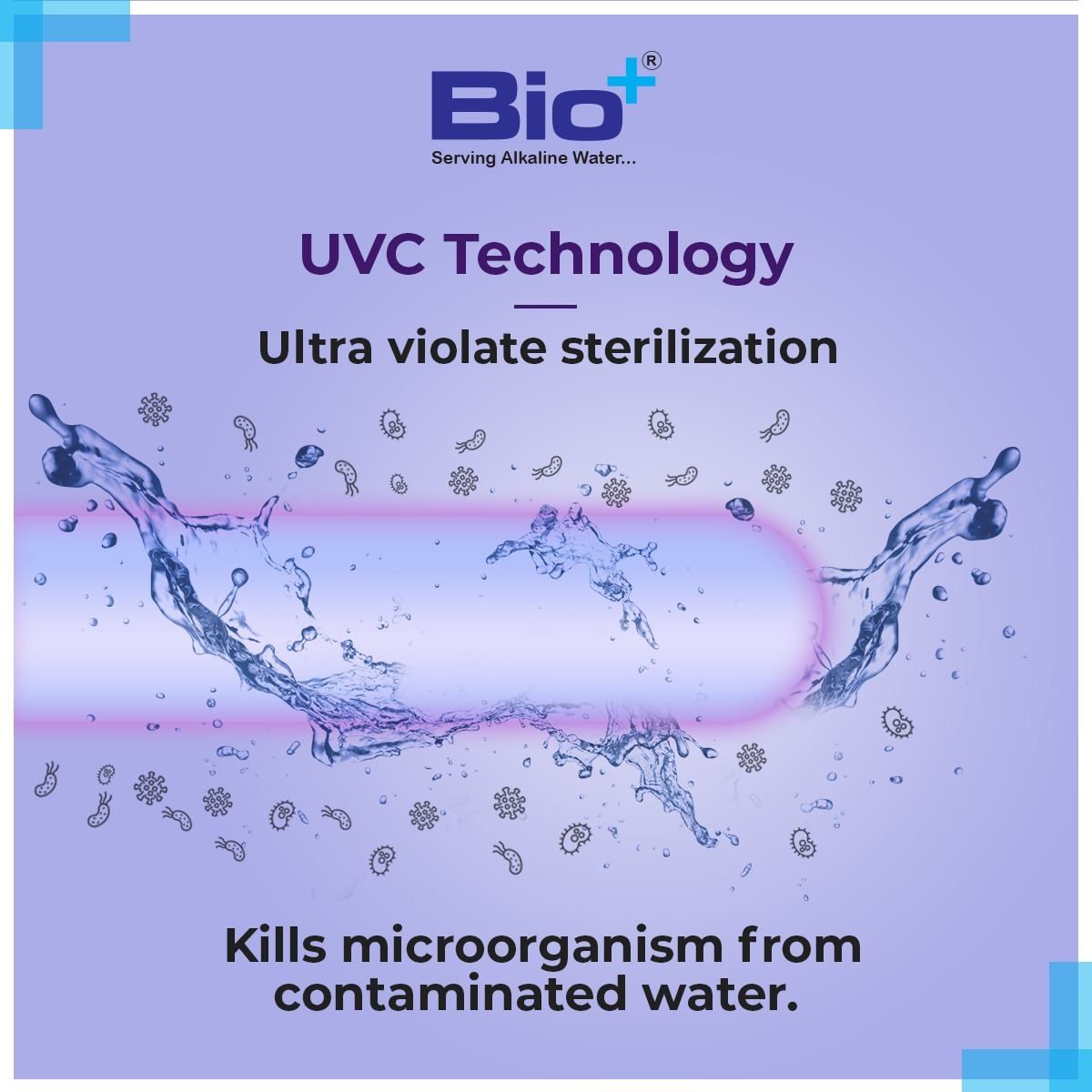 BioPlus - Ultraviolet light disinfects bacteria, viruses, mold, algae ...