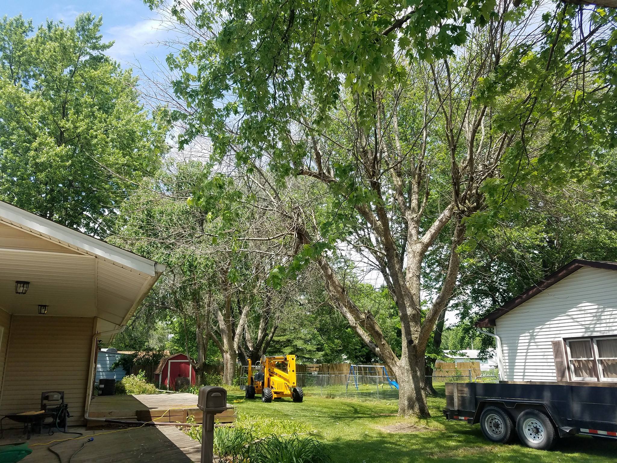 Out On A Limb Tree Service