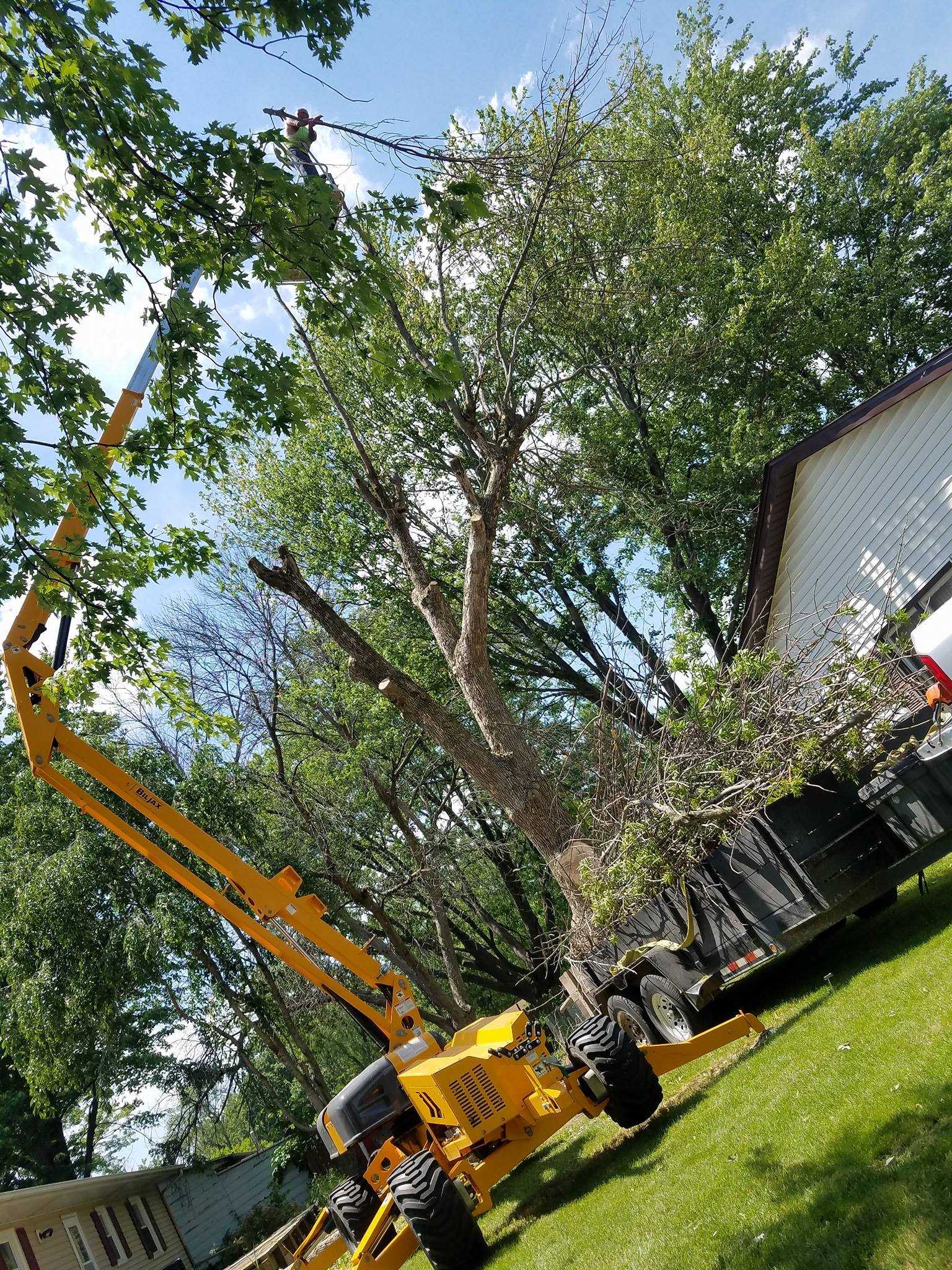 Out On A Limb Tree Service