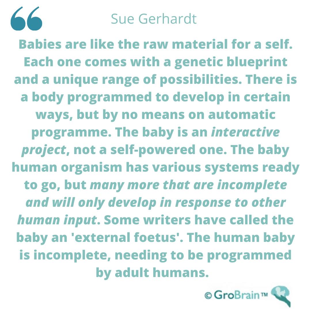 GroBrain - Each baby is born with their genes, and a...