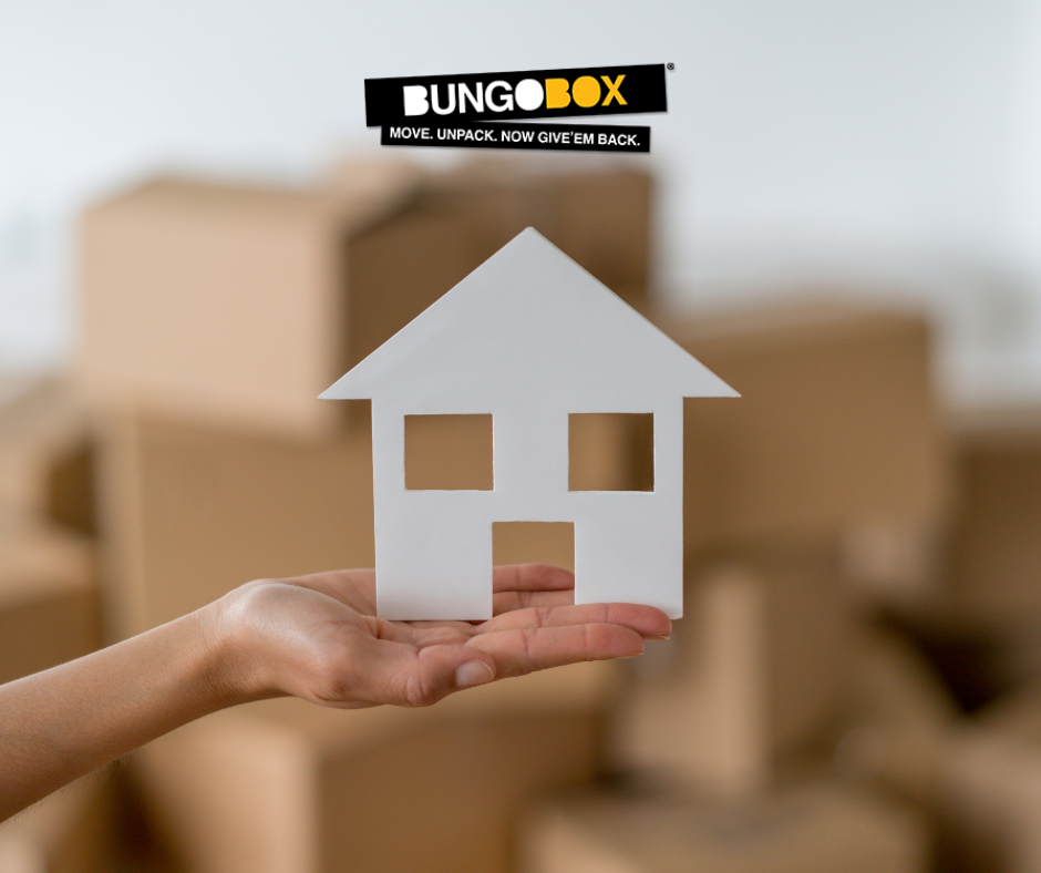 BungoBox DMV