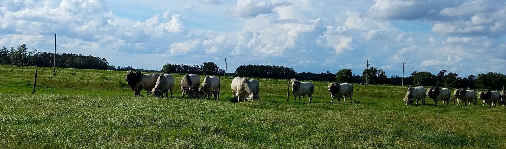 Doc Partin Ranch