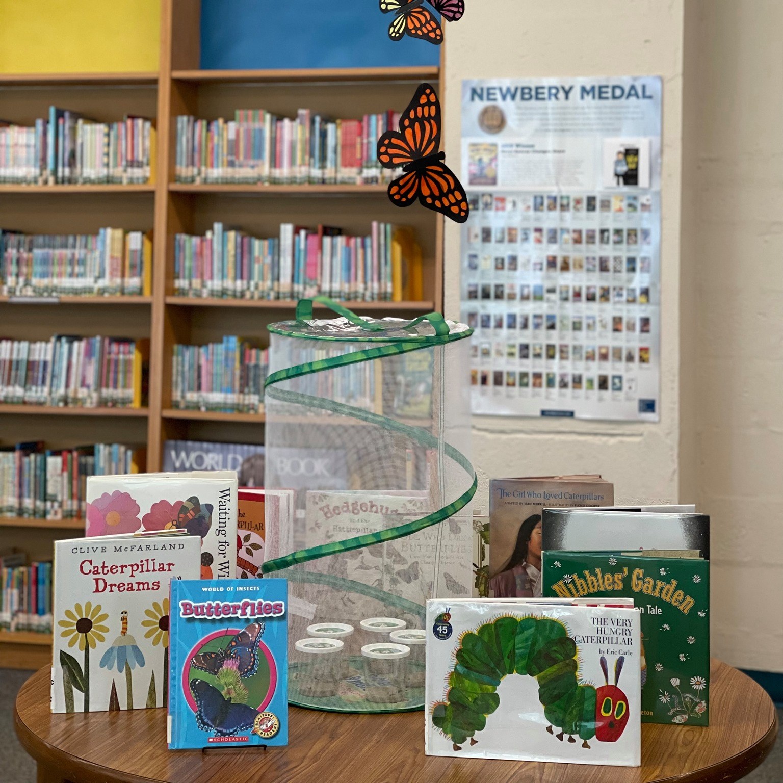 Our caterpillars have... - North Merrick Public Library
