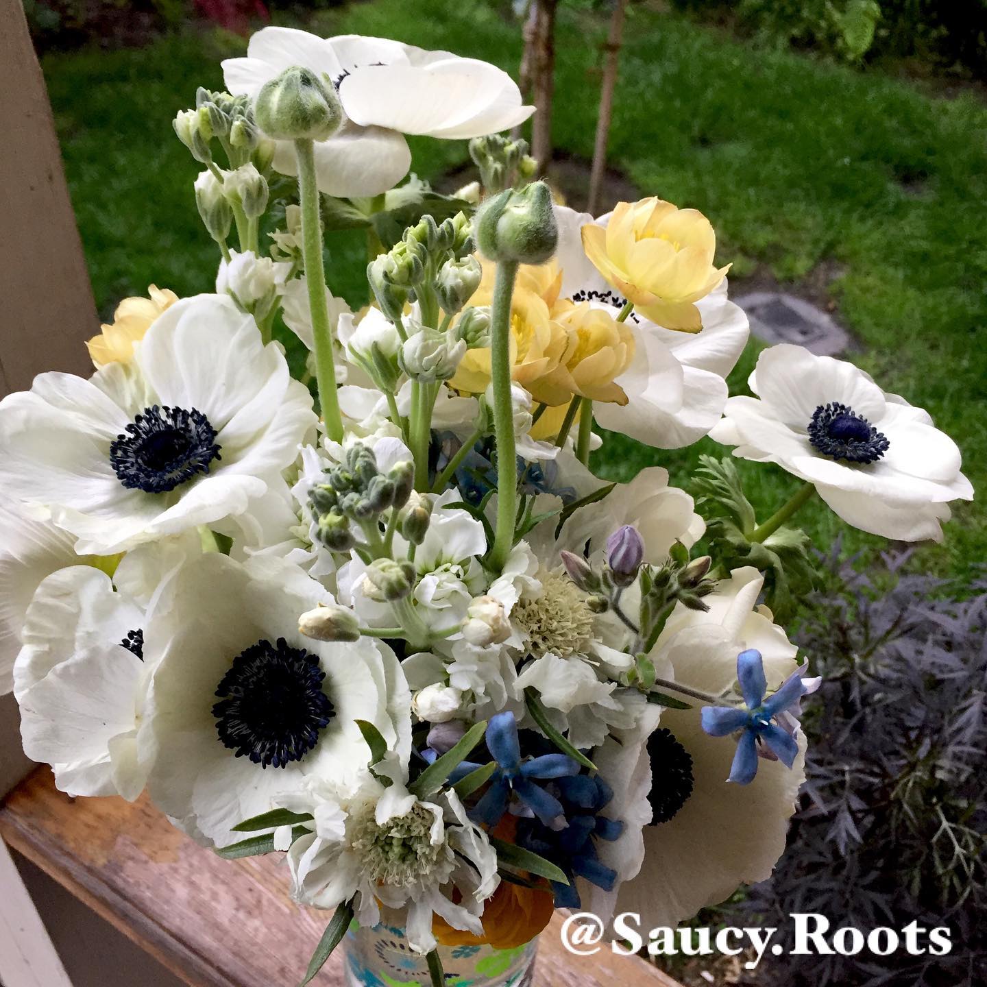 Saucy Roots - When a surprise comes knocking at your door,...