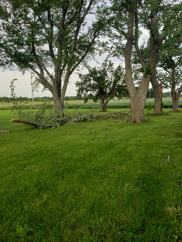 E R Arborist Service LLC