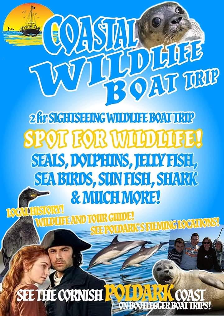 Bootlegger Fishing & Boat Trips Newquay