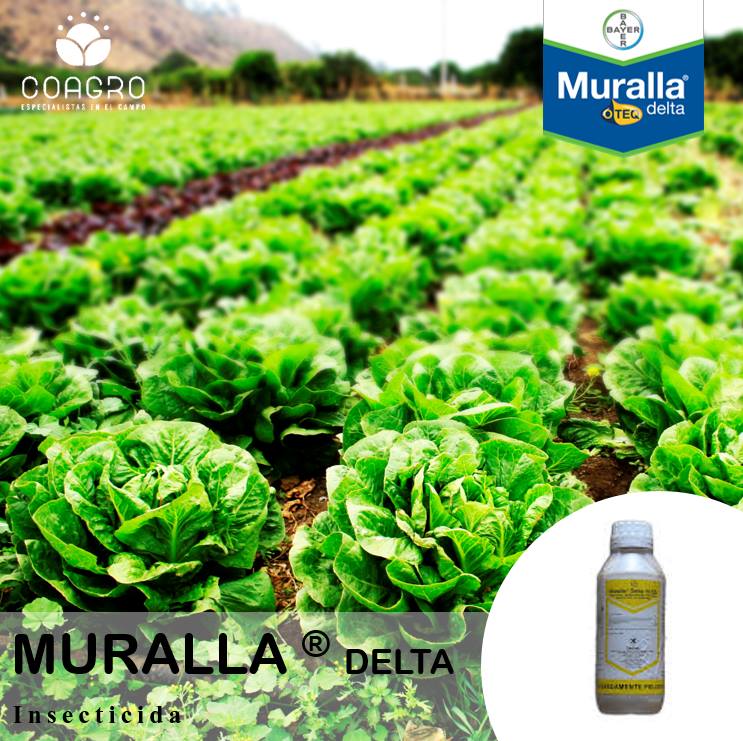 Plagas comunes en agricultura controladas con Muralla Delta