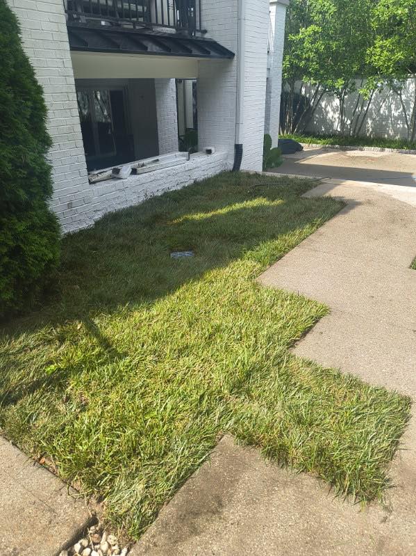 Miss Mow It All, Inc. | Nicholasville KY