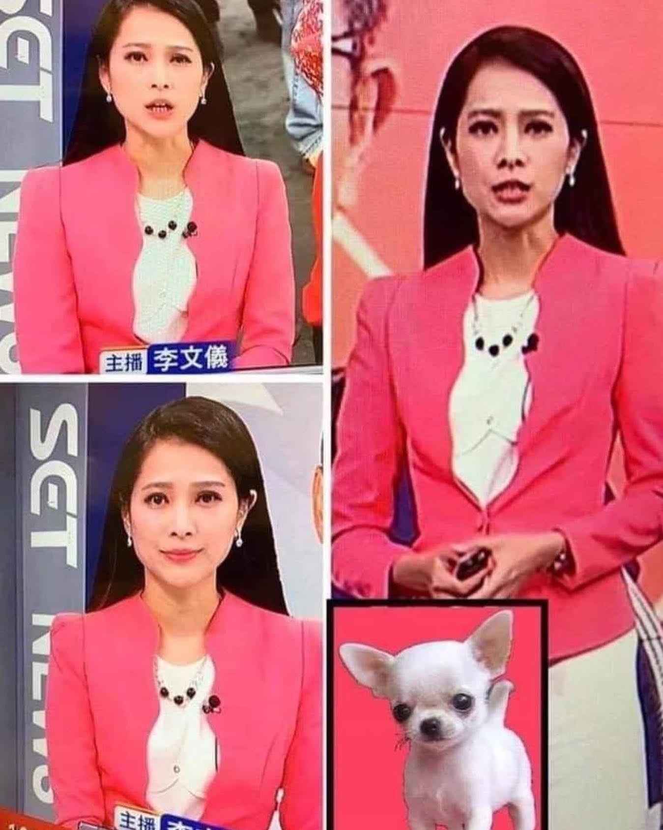 小市民迷因 - 回不去了🤣真的像吉了 轉 來源：臉書 按 ️也一起按追蹤啦：@littlecitymeme...