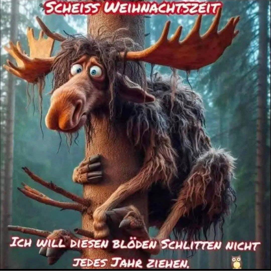 im-n-chsten-leben-will-ich-das-auch-erik-girthh-facebook