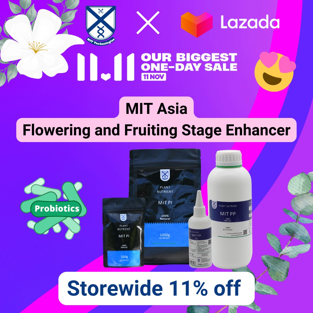 MIT Asia | Singapore Singapore