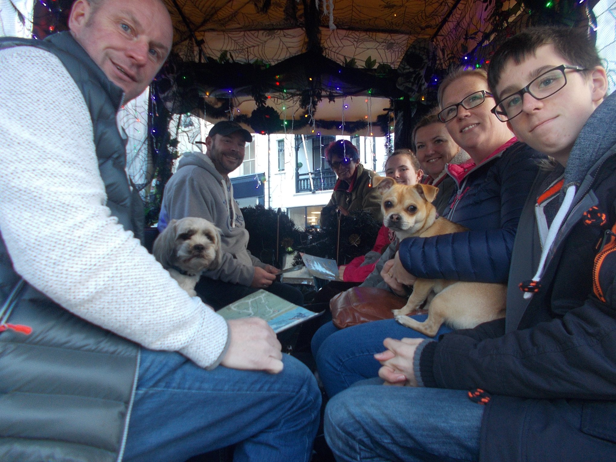 Tenby Carriage rides