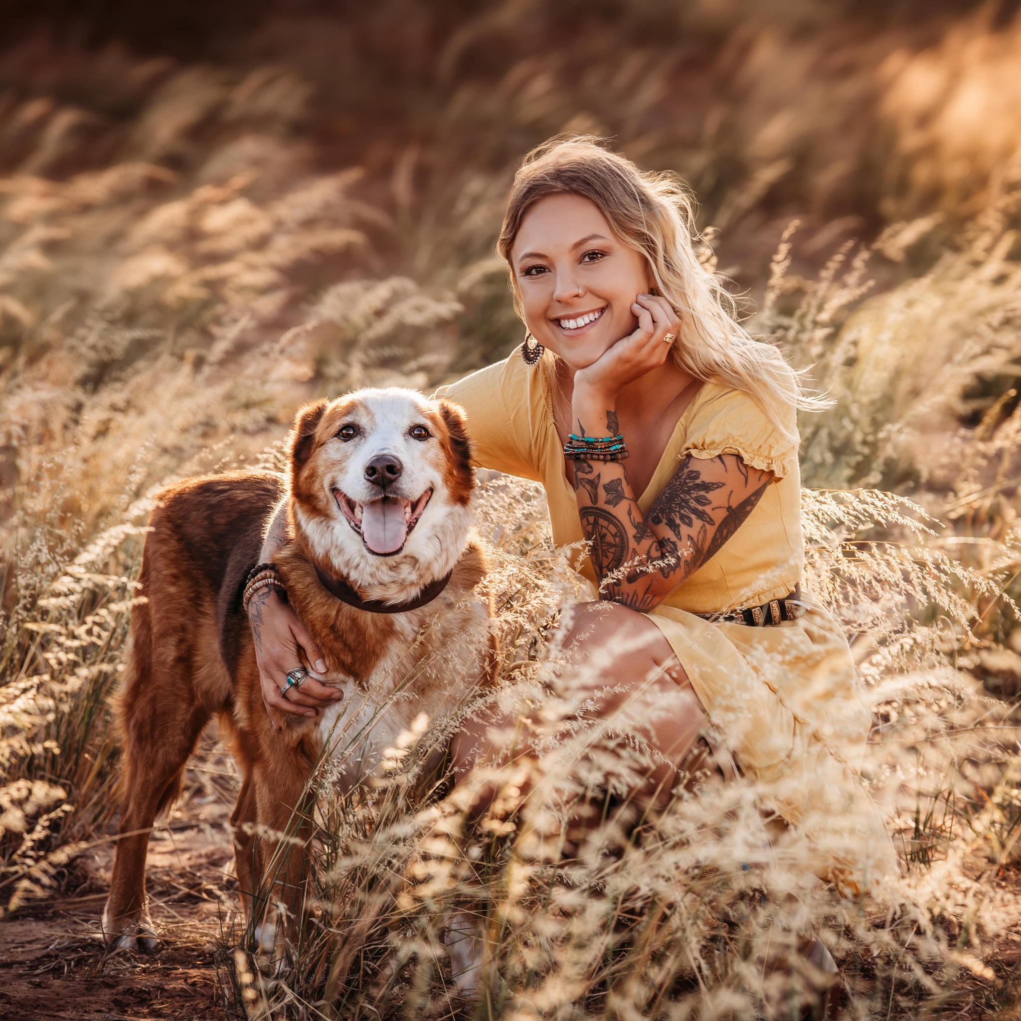 Travel Australia with Dogs | I’ve heard most of the flinders ranges can ...