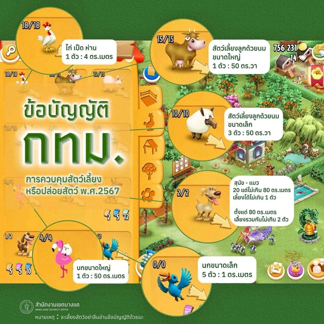 Bangkhae - จะเลี้ยงน้อง ๆ อย่าลืม!!!😺🐶 ศึกษาข้อบัญญัติด้วยนะจ๊ะ ...
