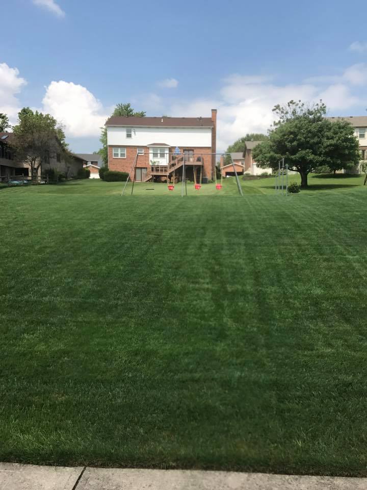 Turf Pro Plus | Cincinnati OH