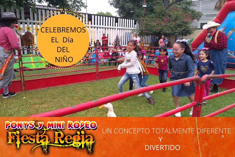 Ponys y mini rodeo fiesta regia