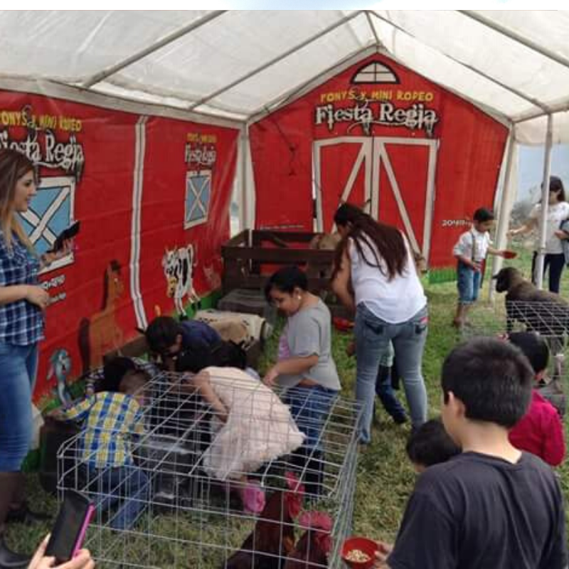 Ponys y mini rodeo fiesta regia