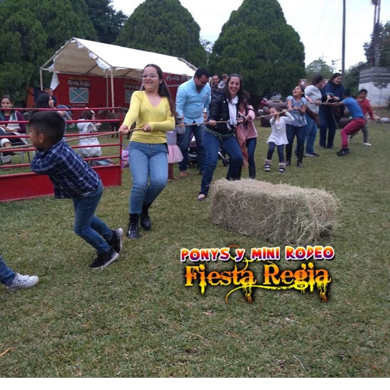 Ponys y mini rodeo fiesta regia
