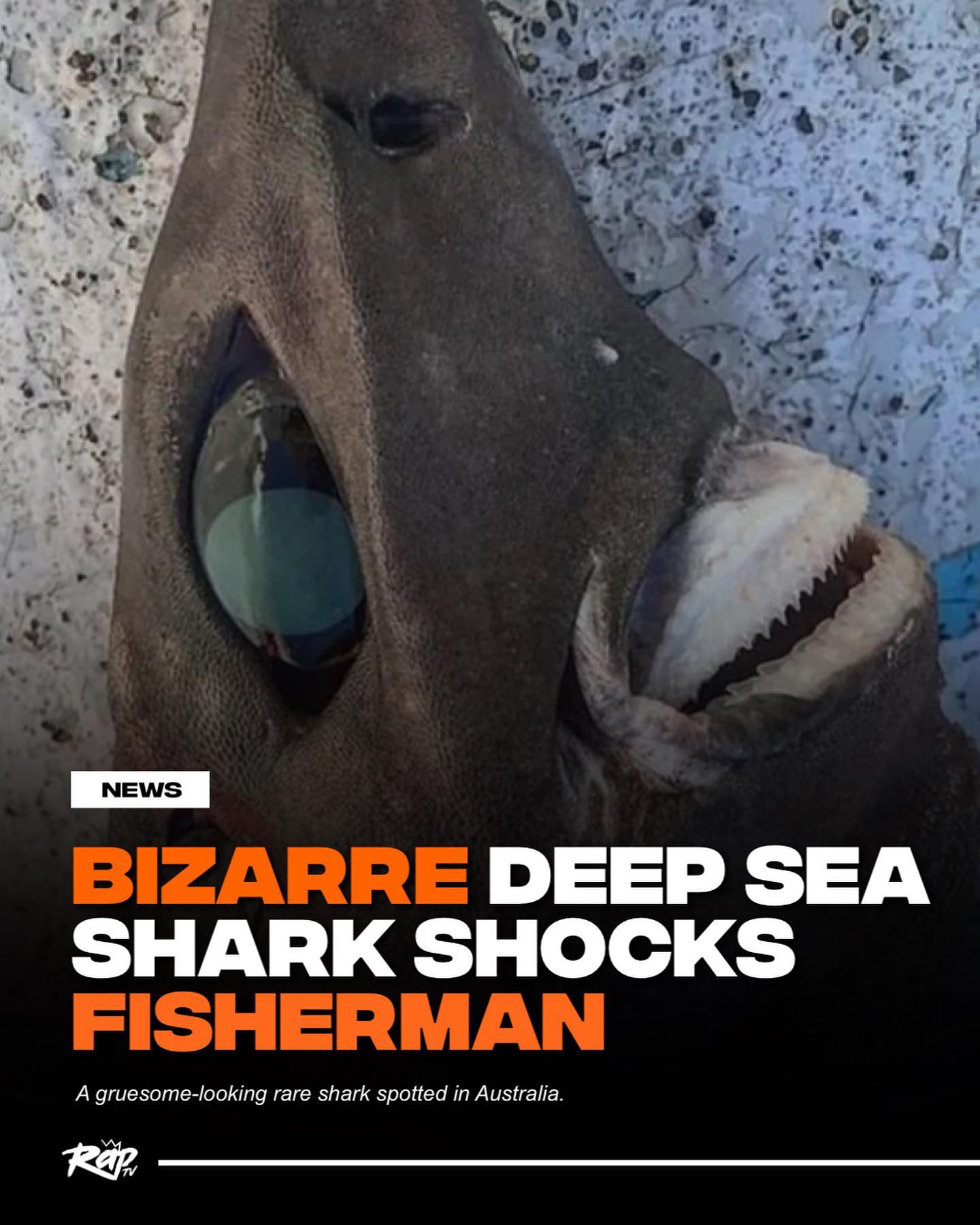 Rap by RAPTV - Bizarre deep sea shark shocks fisherman.... | Facebook