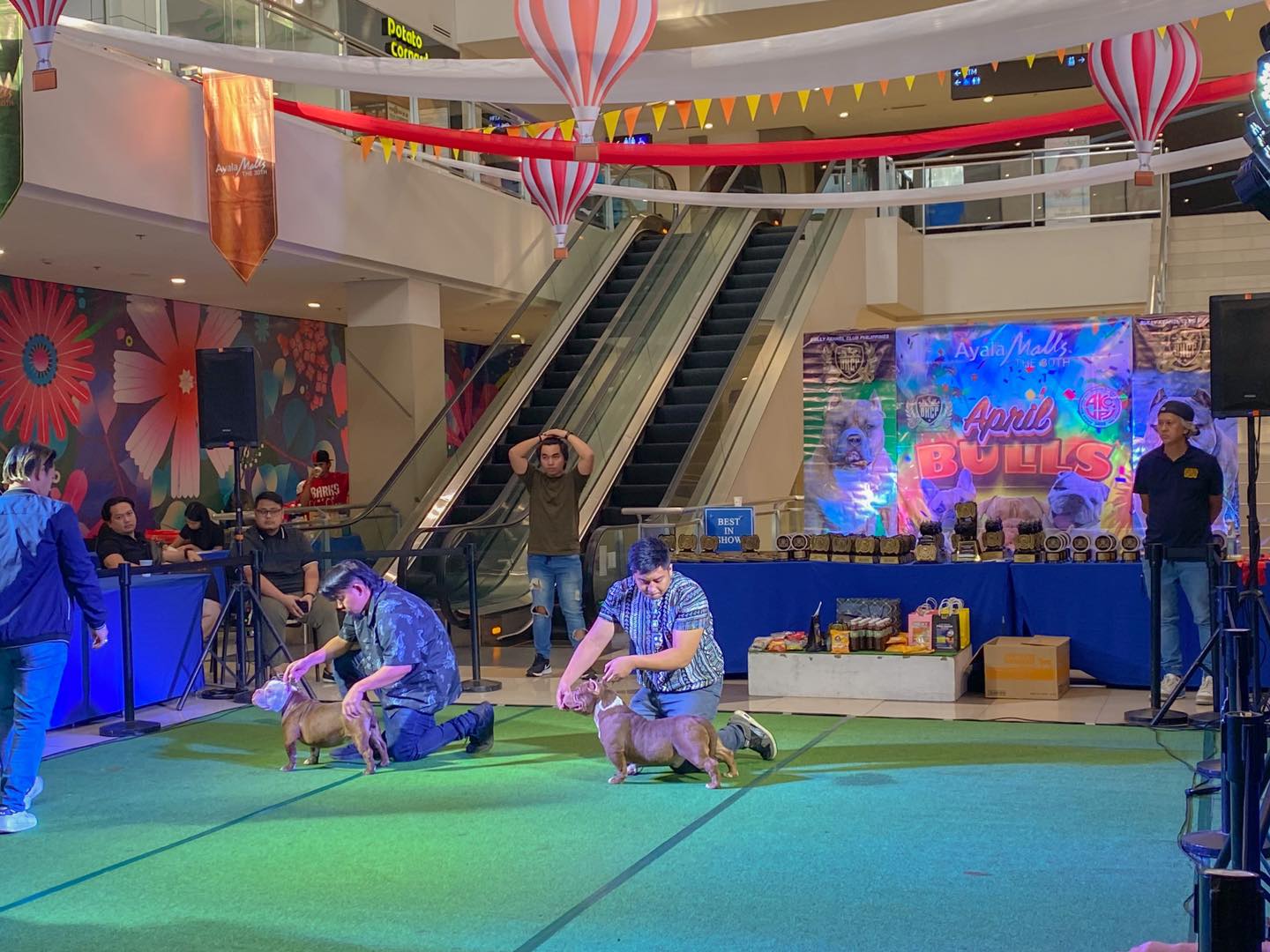 Relive the moments of April Bull's... - Ayala Malls The 30th