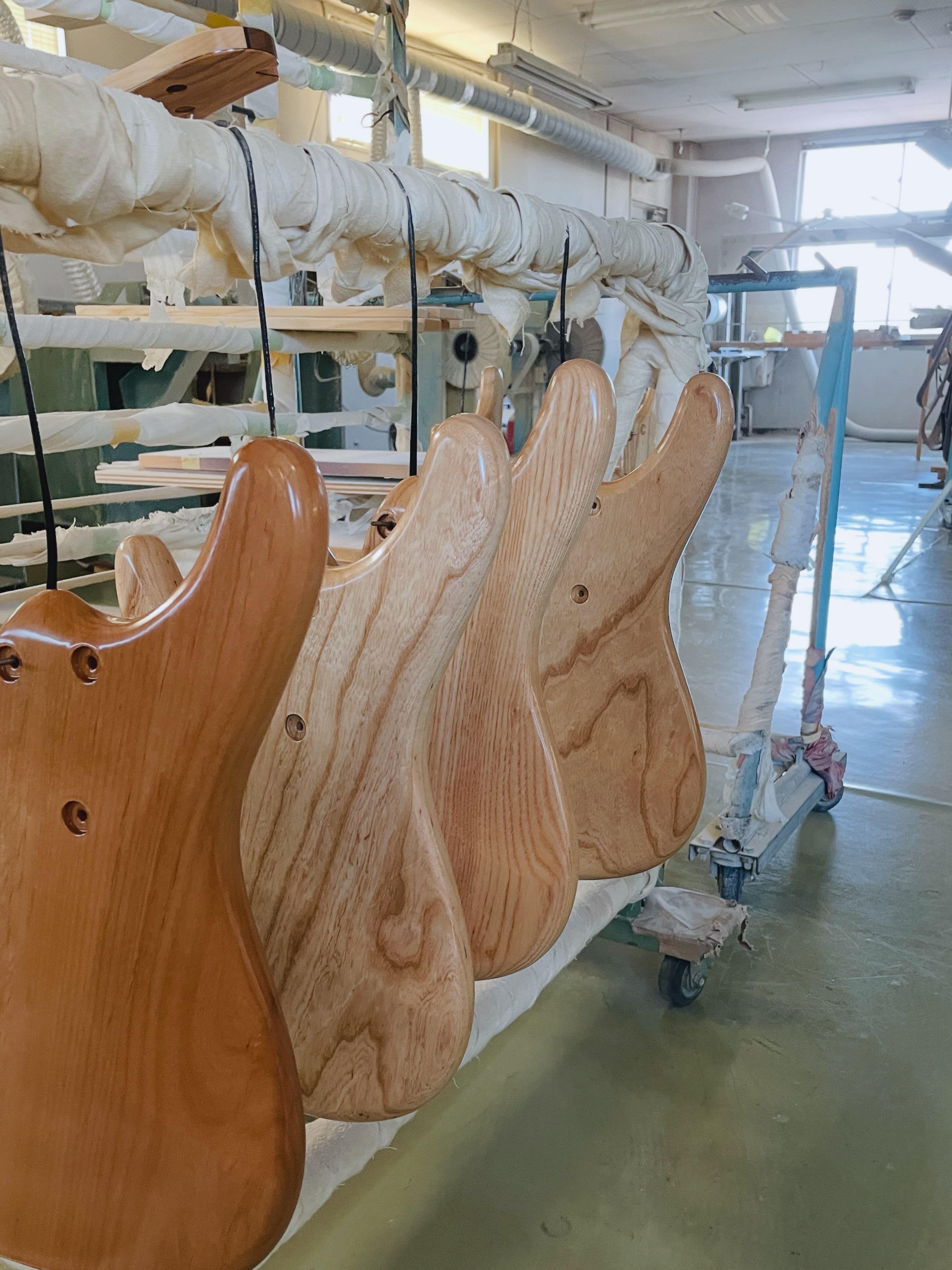 Sugi Guitars (@SugiGuitars) • Facebook