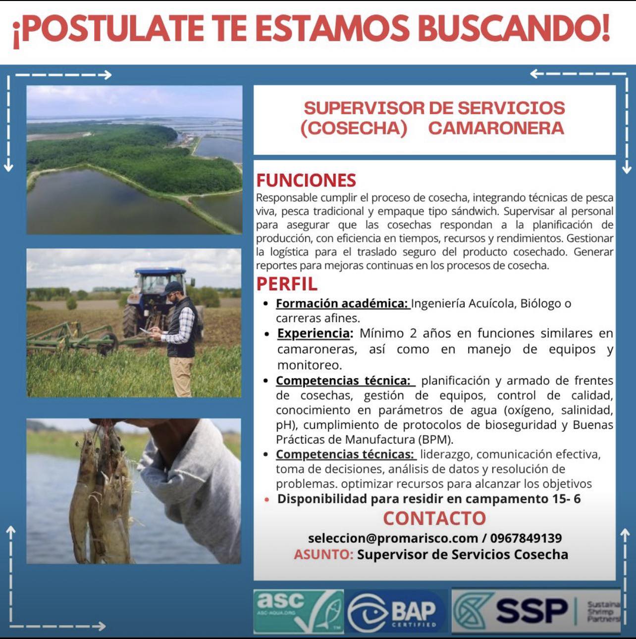 PROMARISCO S.A. (GRUPO NUEVA PESCANOVA) 🦐 | Facebook