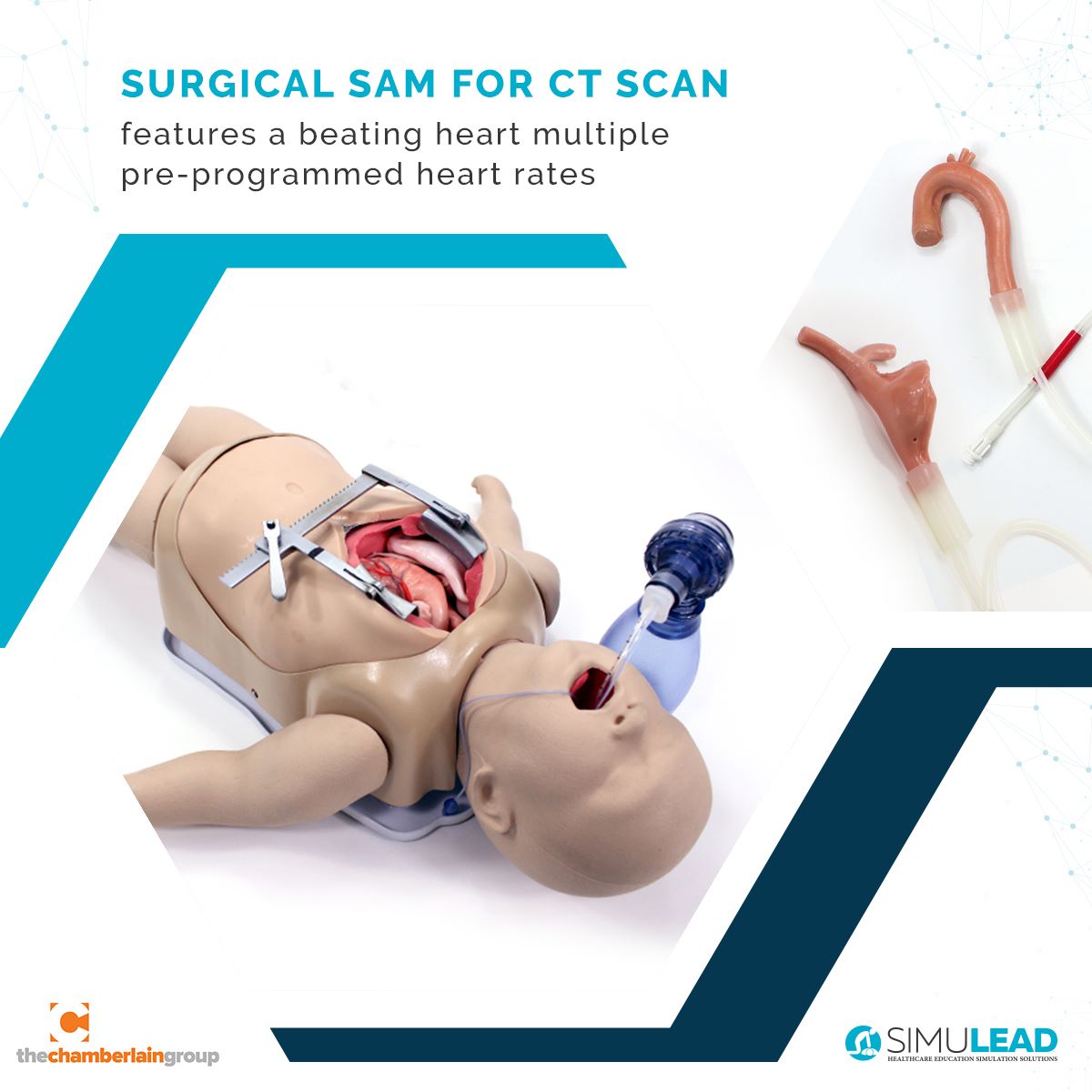 SimuLead - Surgical Sam is the world’s first beating heart, breathing ...