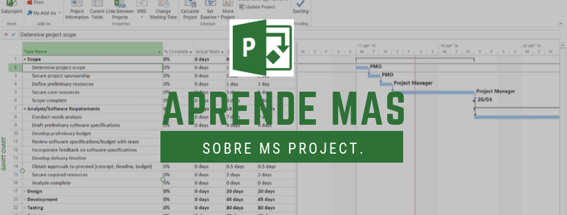 Todo Ms Project