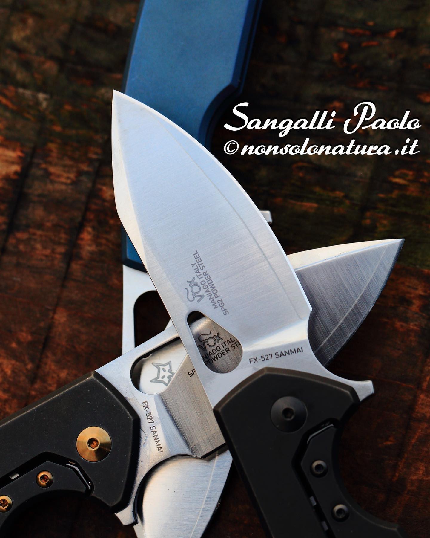 Collini Steel | Busto Arsizio