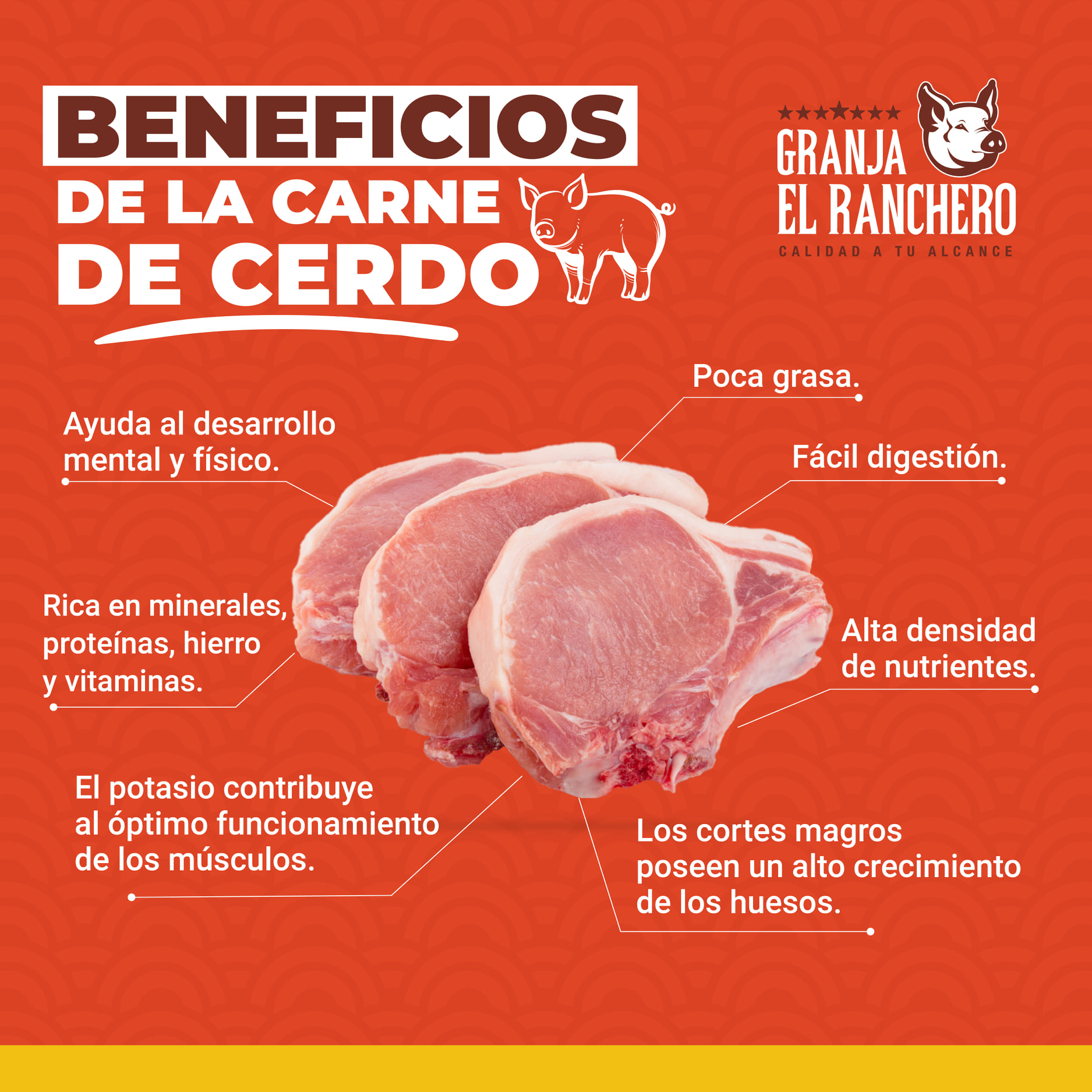 La carne de cerdo es una de las más... - Granja 