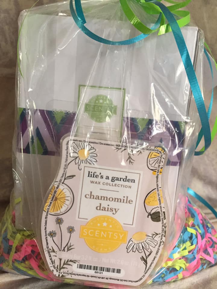 Here’s are some of our raffle items - Minor Hill Ball Park