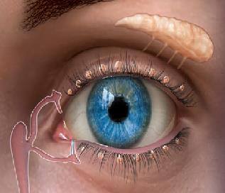 Novasorb... - Journals and Conferences on Ophthalmology